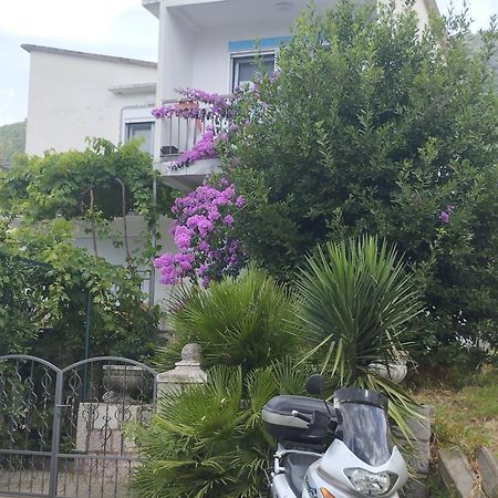 Sobica 2 Apartment Petrovac Bagian luar foto